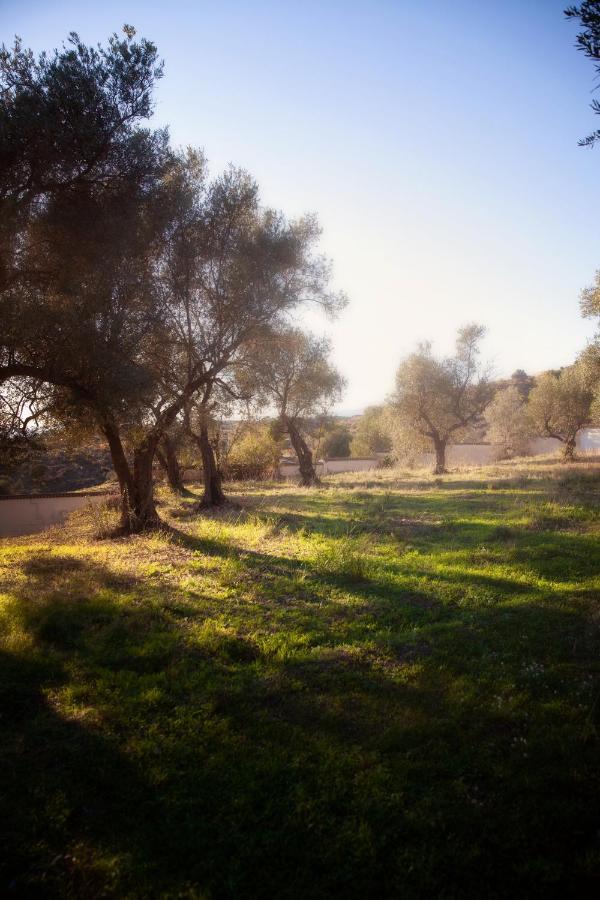 Finca Palmers Dos Mijas Esterno foto